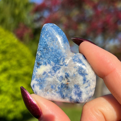 Enchanted Euphoralite Palm Stone