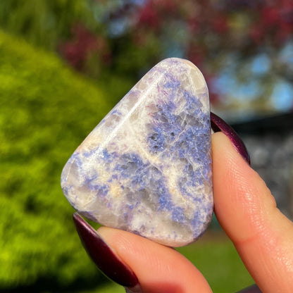 Enchanted Euphoralite Palm Stone