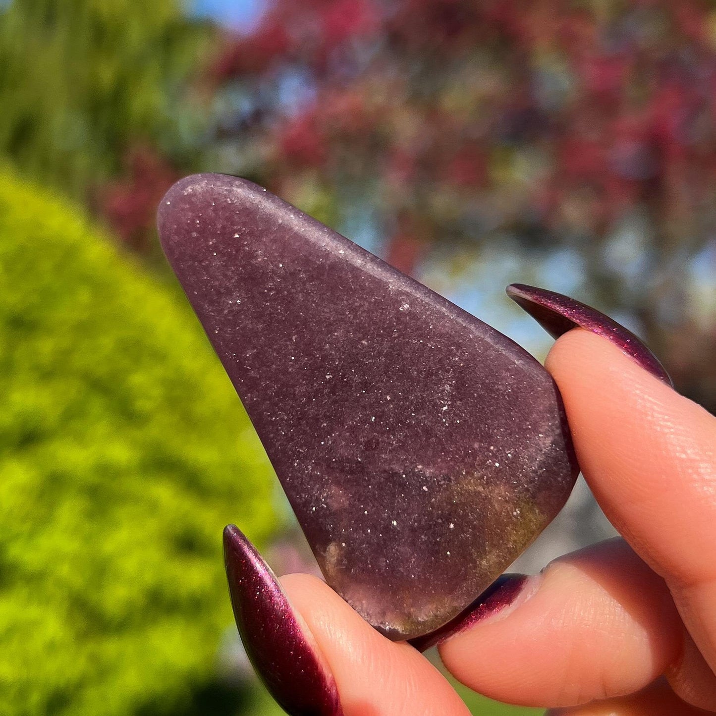 Midnight Euphoralite Palm Stone