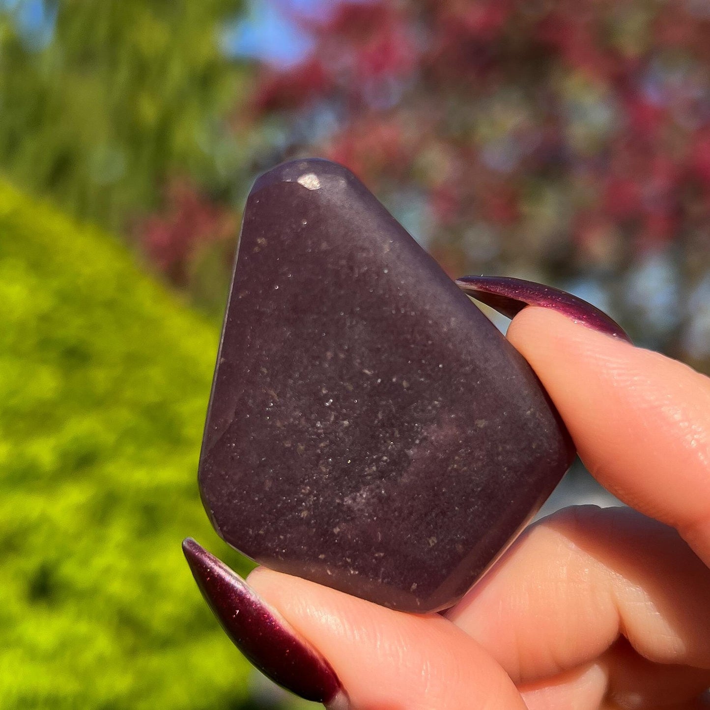 Midnight Euphoralite Palm Stone
