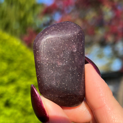 Midnight Euphoralite Palm Stone