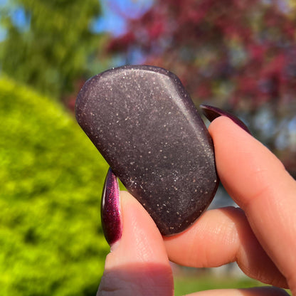 Midnight Euphoralite Palm Stone
