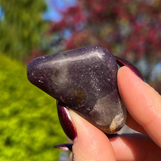 Midnight Euphoralite Palm Stone