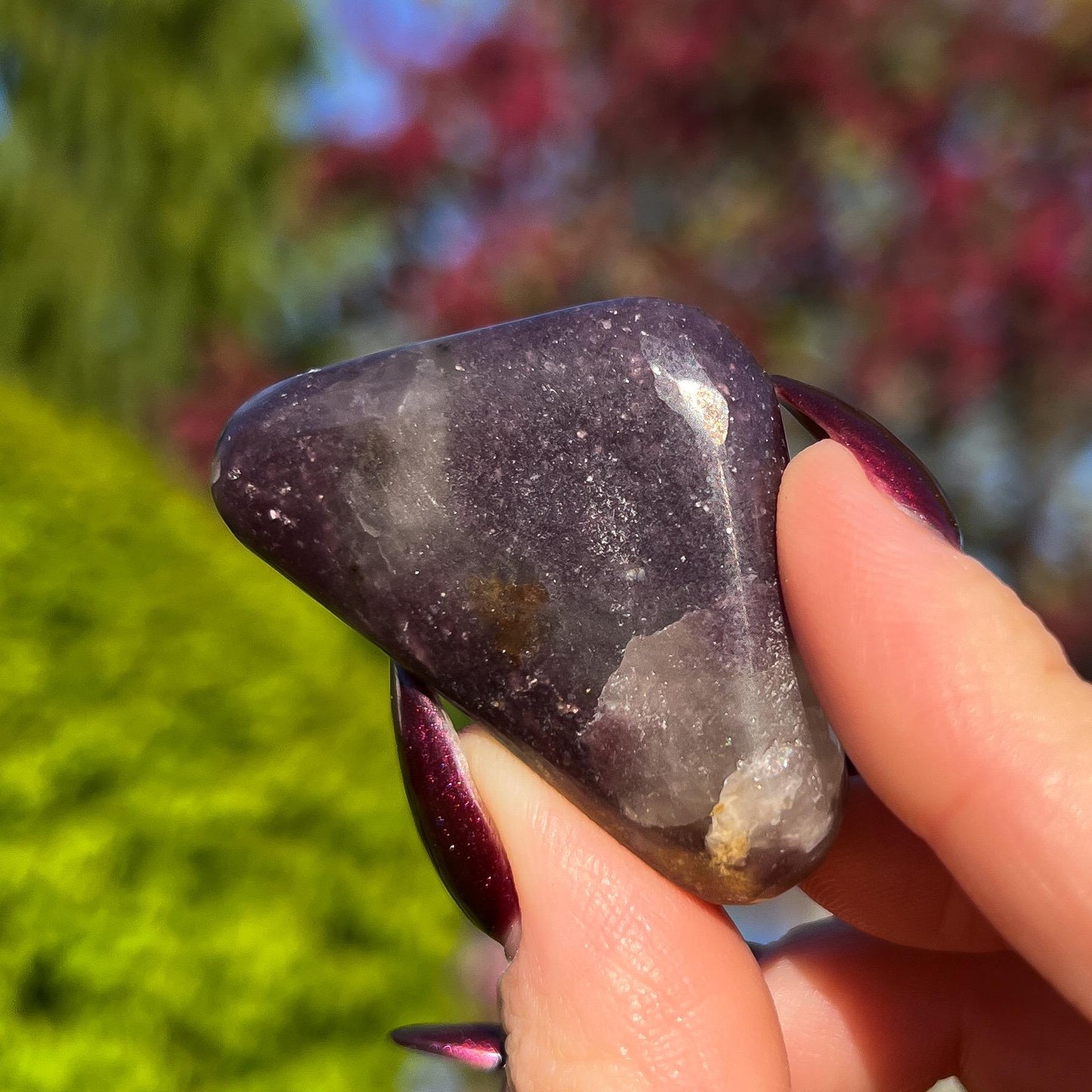 Midnight Euphoralite Palm Stone