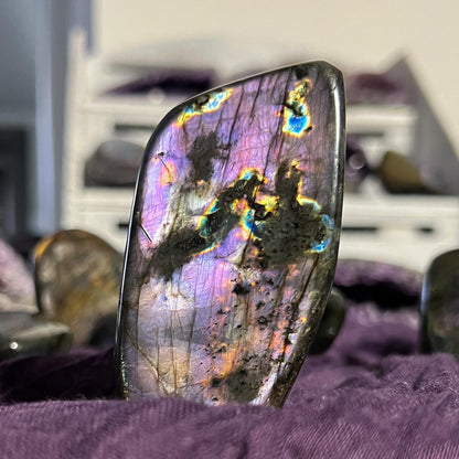 Purple Rainbow Labradorite Freeform