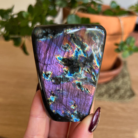 Purple Rainbow Labradorite Freeform