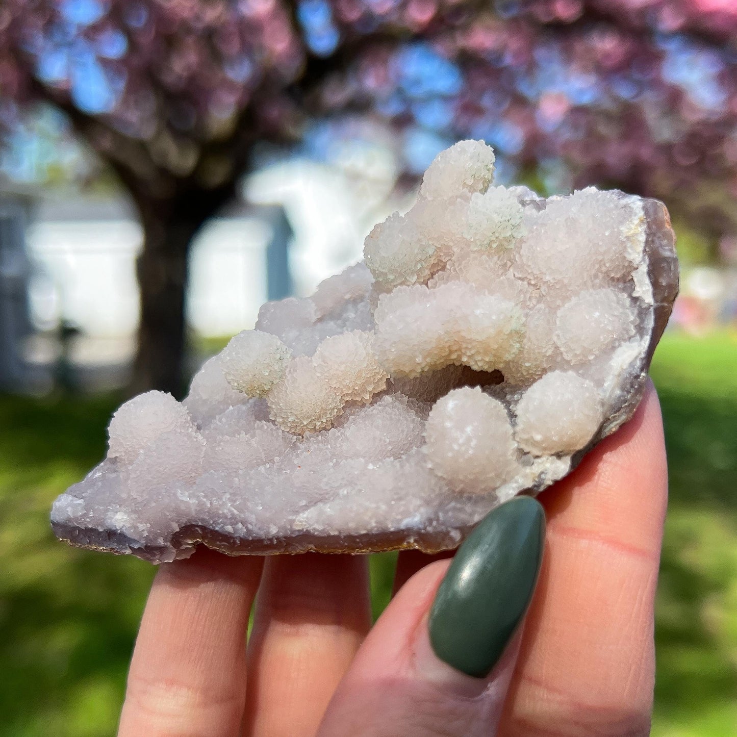 Pink Botryoidal Chalcedony Translucent Specimen