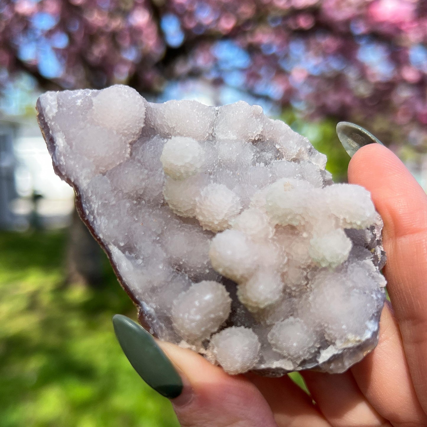 Pink Botryoidal Chalcedony Translucent Specimen