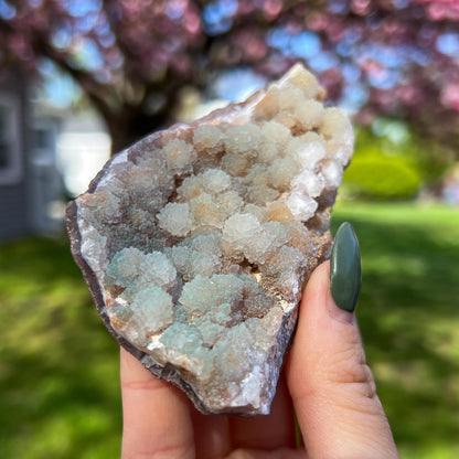 Green Botryoidal Chalcedony Translucent Specimen