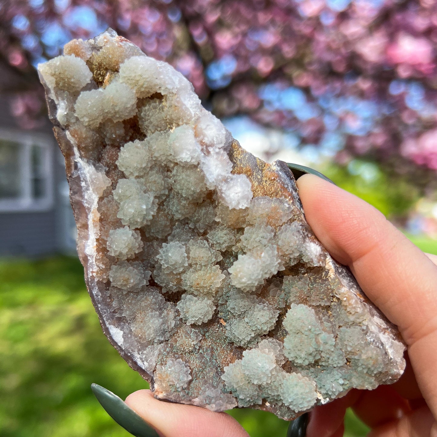 Green Botryoidal Chalcedony Translucent Specimen