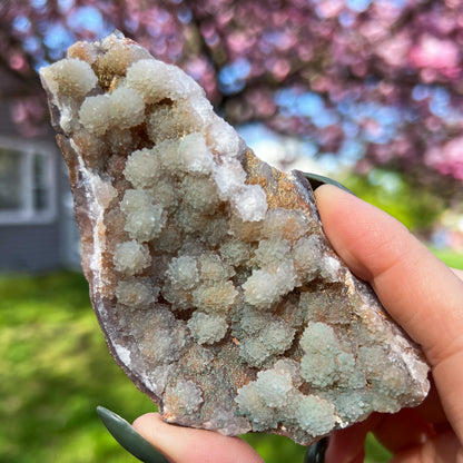 Green Botryoidal Chalcedony Translucent Specimen