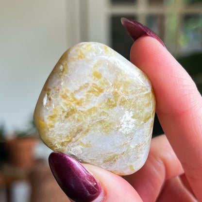 Rare Golden Euphoralite Palm Stone