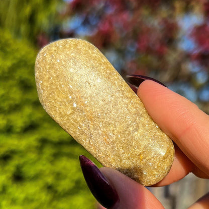Rare Gaia Euphoralite Palm Stone