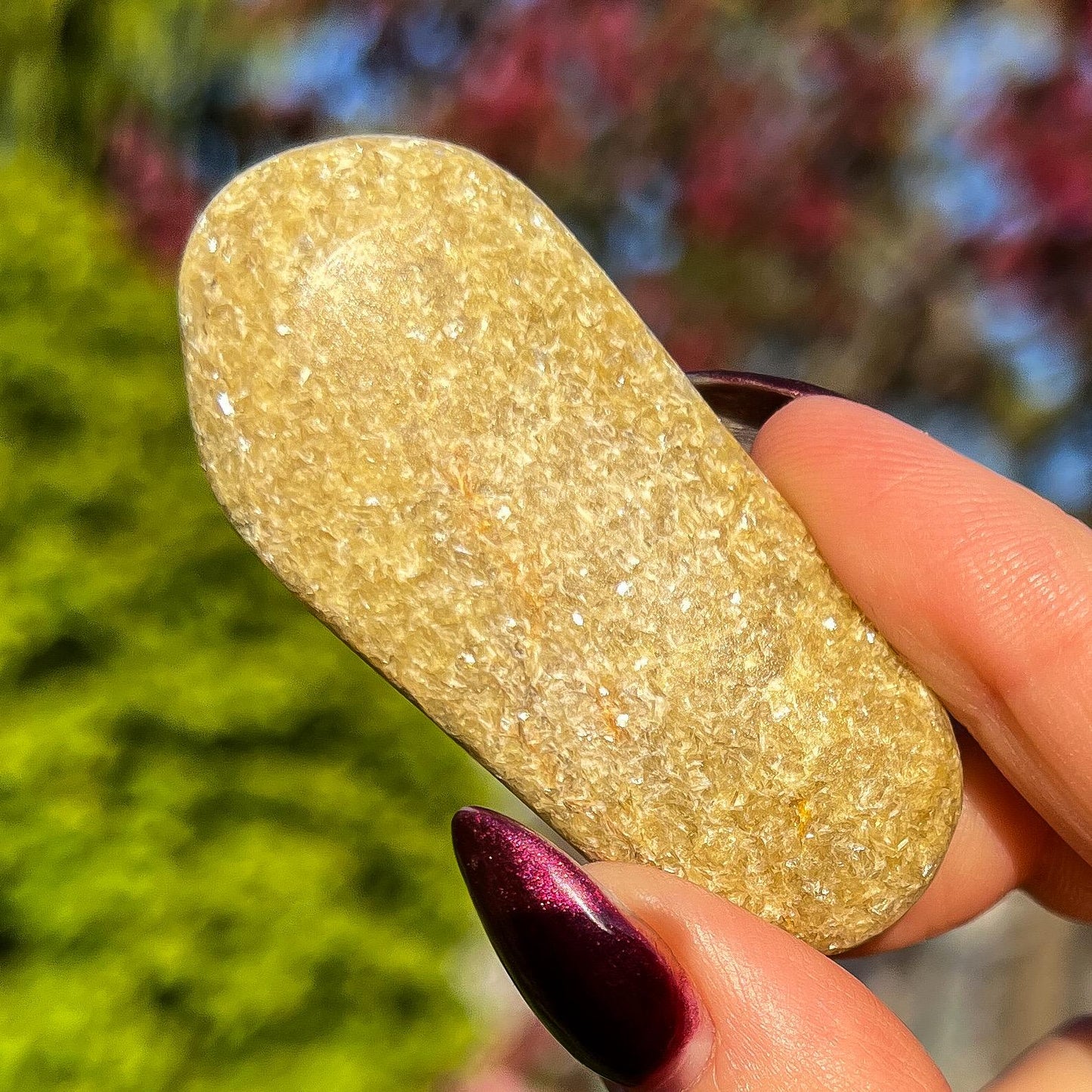 Rare Gaia Euphoralite Palm Stone