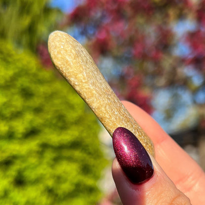 Rare Gaia Euphoralite Palm Stone