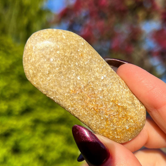 Rare Gaia Euphoralite Palm Stone