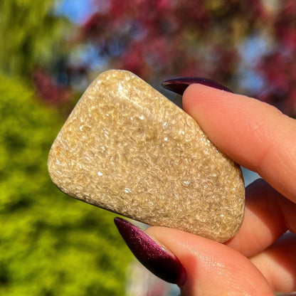 Rare Gaia Euphoralite Palm Stone