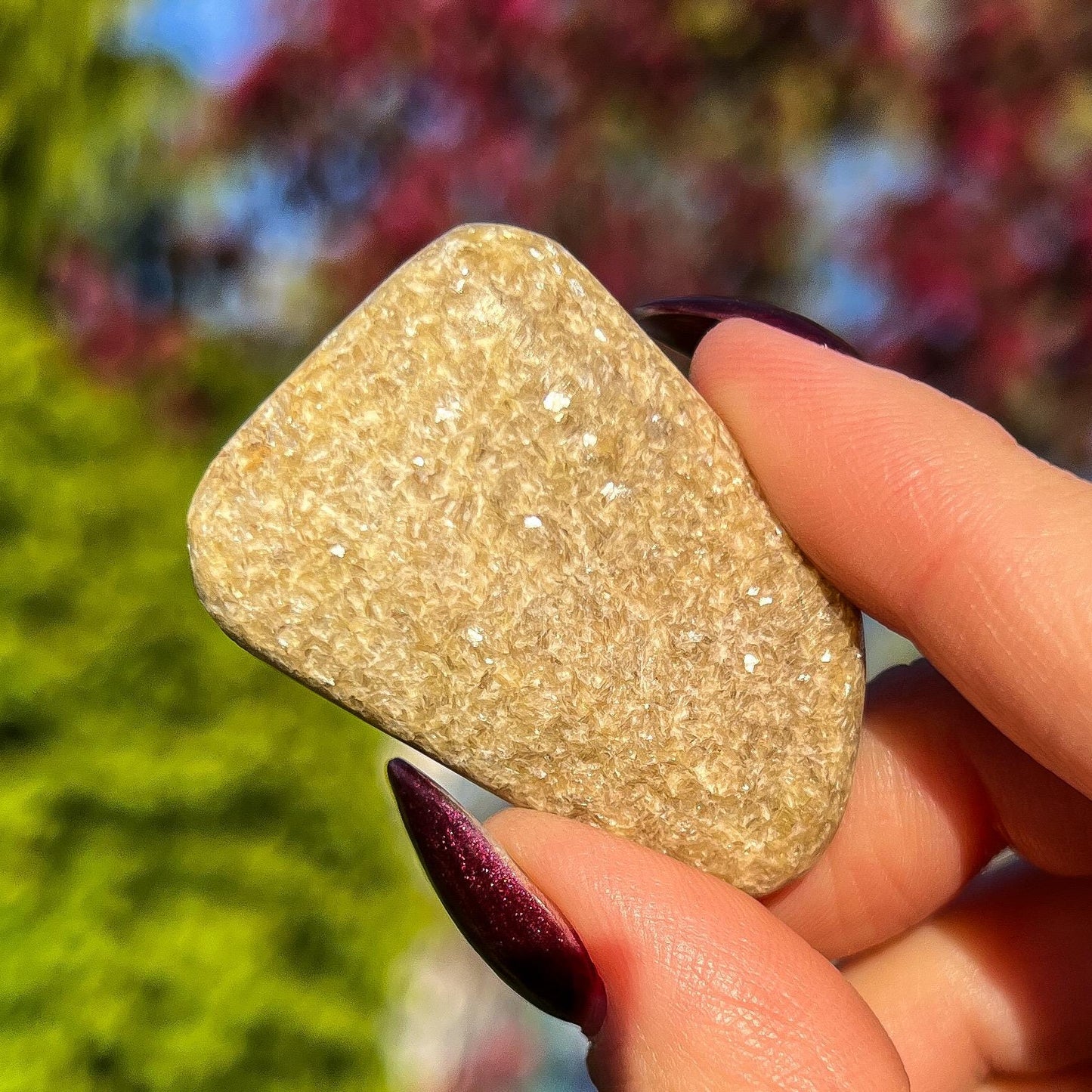 Rare Gaia Euphoralite Palm Stone
