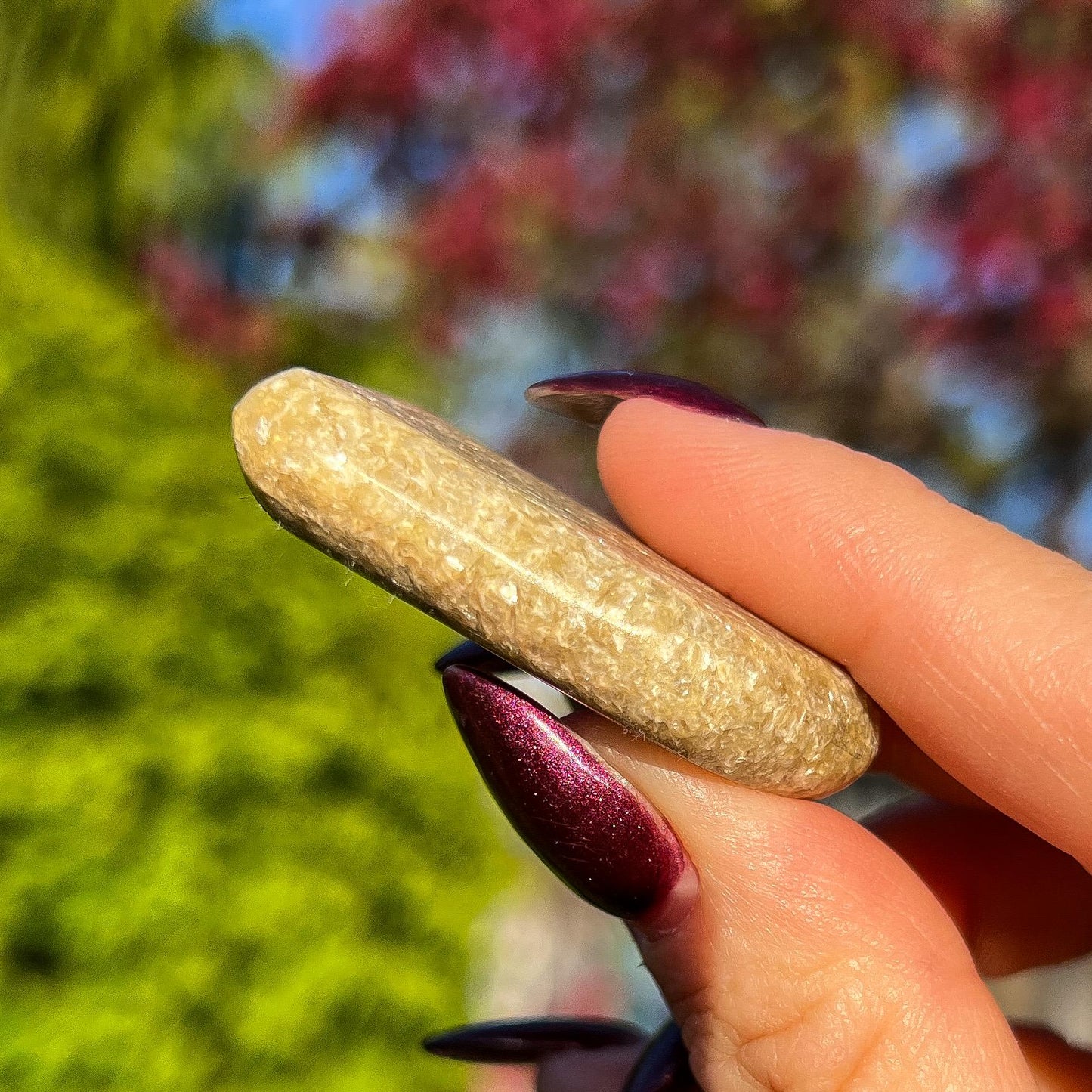 Rare Gaia Euphoralite Palm Stone