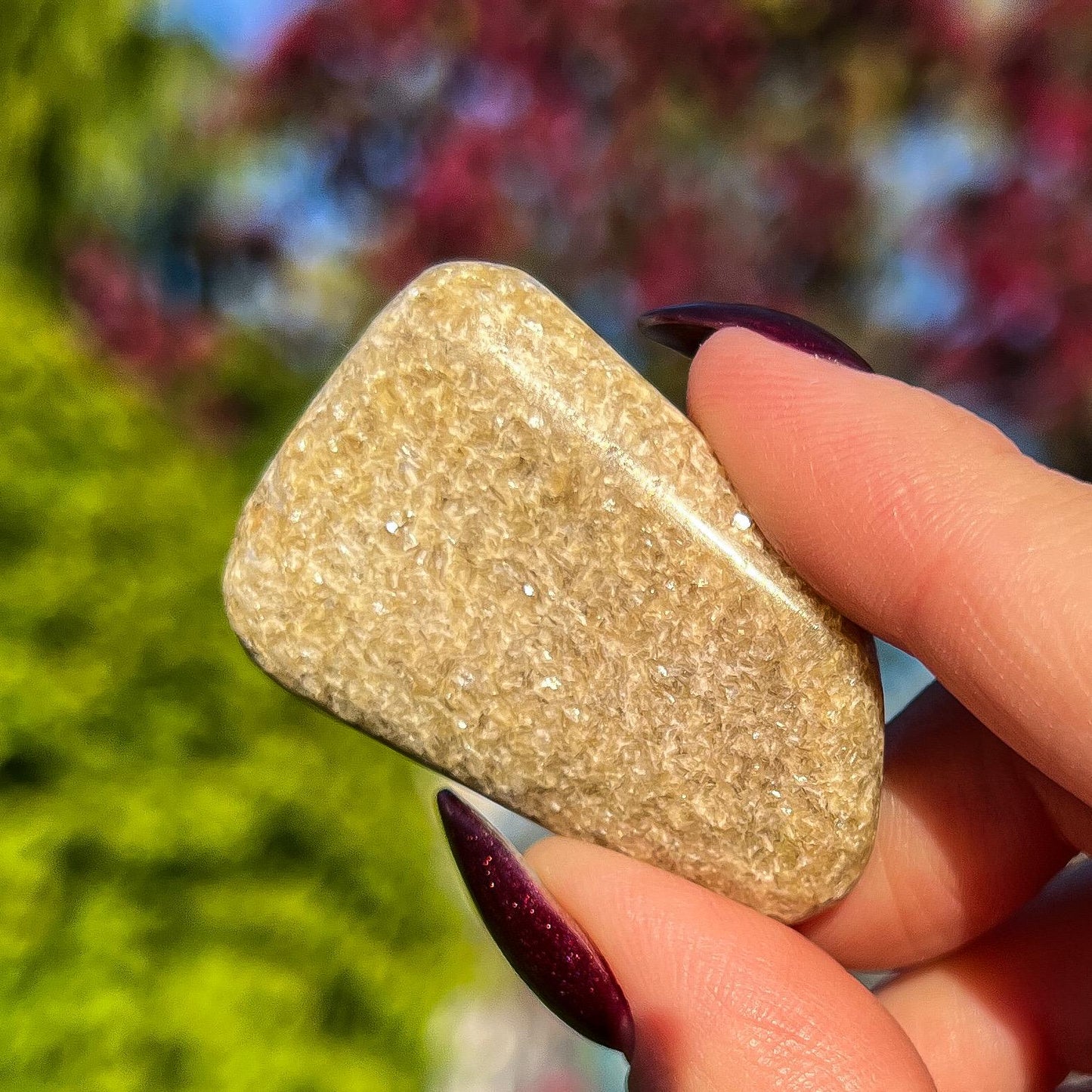 Rare Gaia Euphoralite Palm Stone
