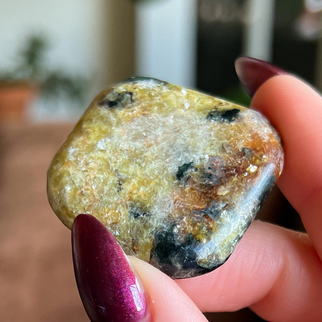 Pangea Euphoralite Palm Stone
