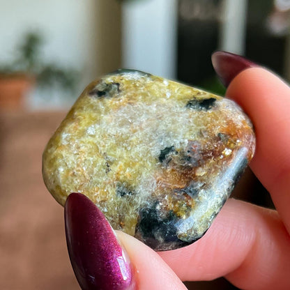 Pangea Euphoralite Palm Stone