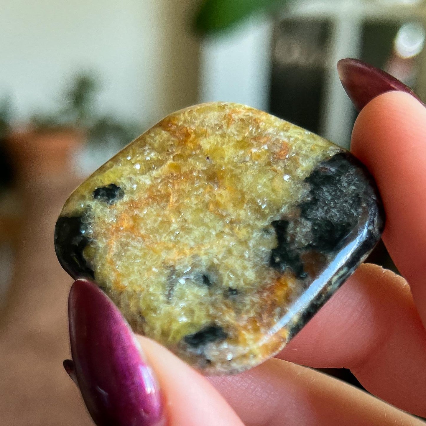 Pangea Euphoralite Palm Stone