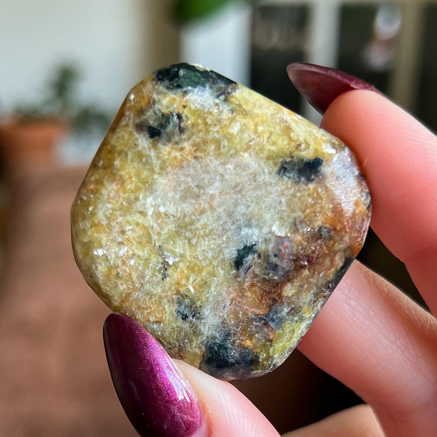 Pangea Euphoralite Palm Stone