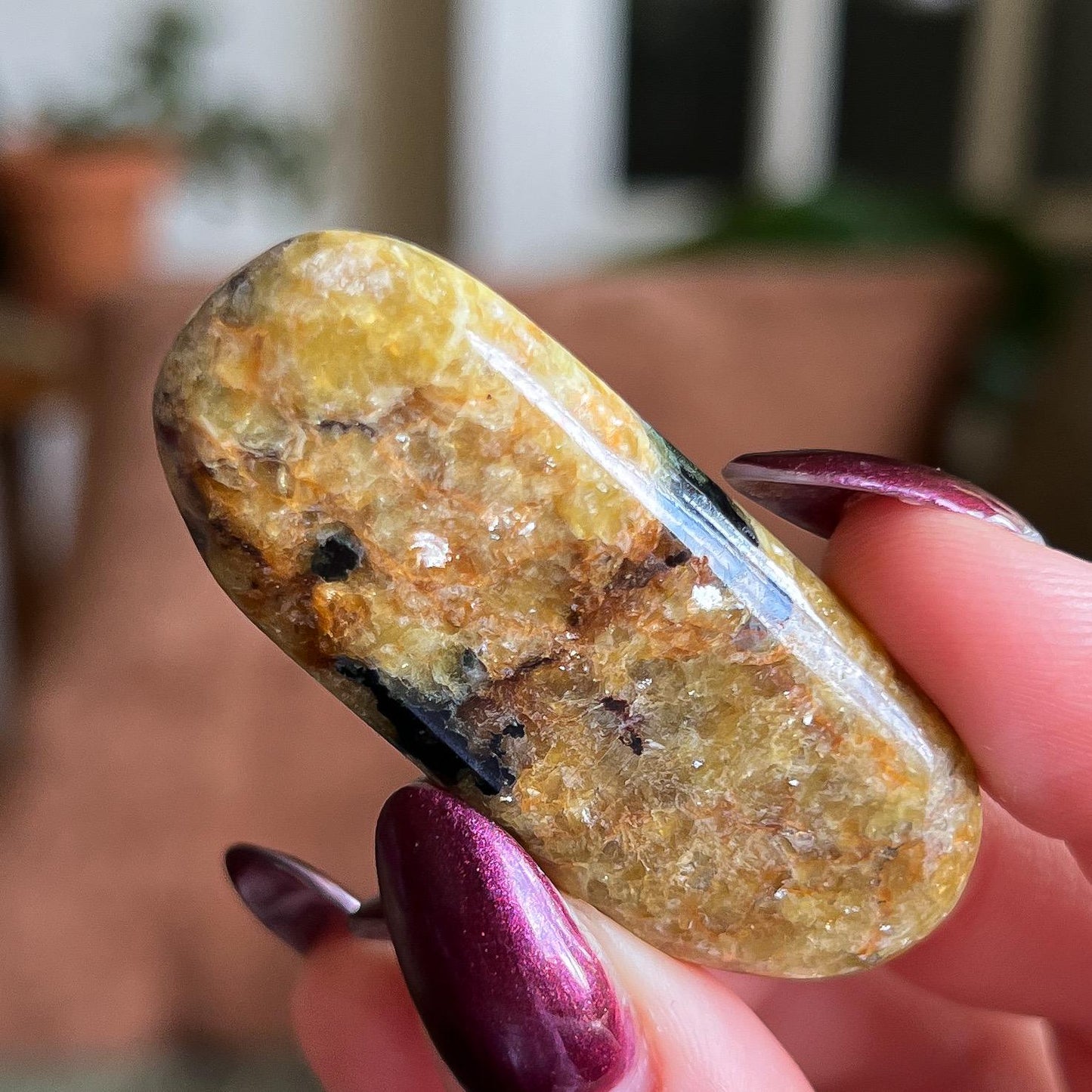 Pangea Euphoralite Palm Stone