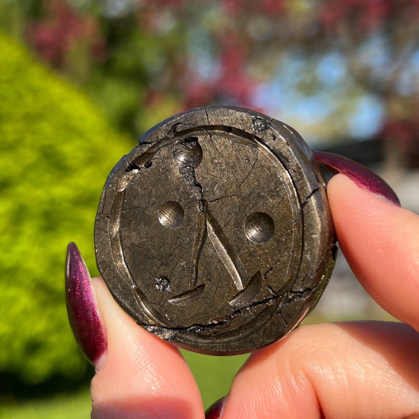 Alienite Euphoralite Coin from South Dakota