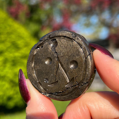 Alienite Euphoralite Coin from South Dakota