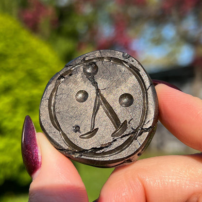Alienite Euphoralite Coin from South Dakota