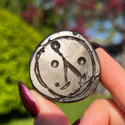 Alienite Euphoralite Coin from South Dakota