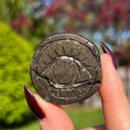 Alienite Euphoralite Coin from South Dakota