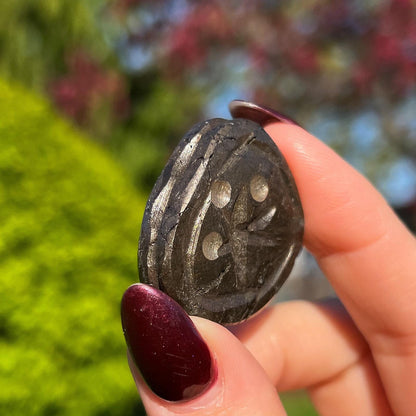 Alienite Euphoralite Coin from South Dakota