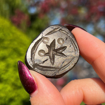 Alienite Euphoralite Coin from South Dakota