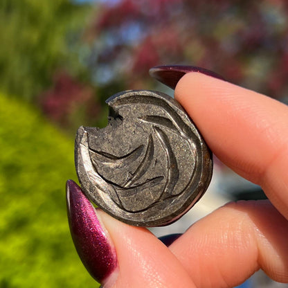 Alienite Euphoralite Coin from South Dakota