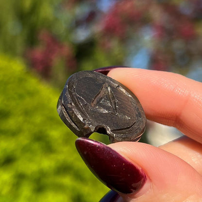 Alienite Euphoralite Coin from South Dakota