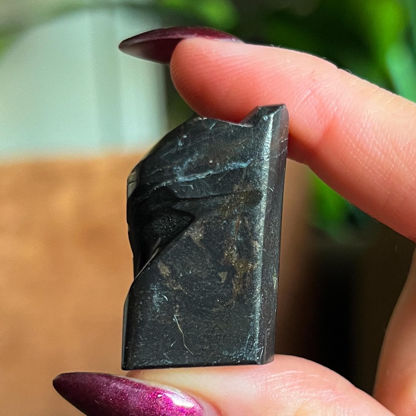 Alienite Euphoralite Alien from South Dakota