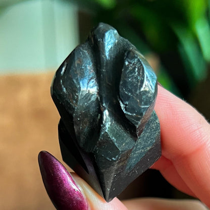 Alienite Euphoralite Alien from South Dakota