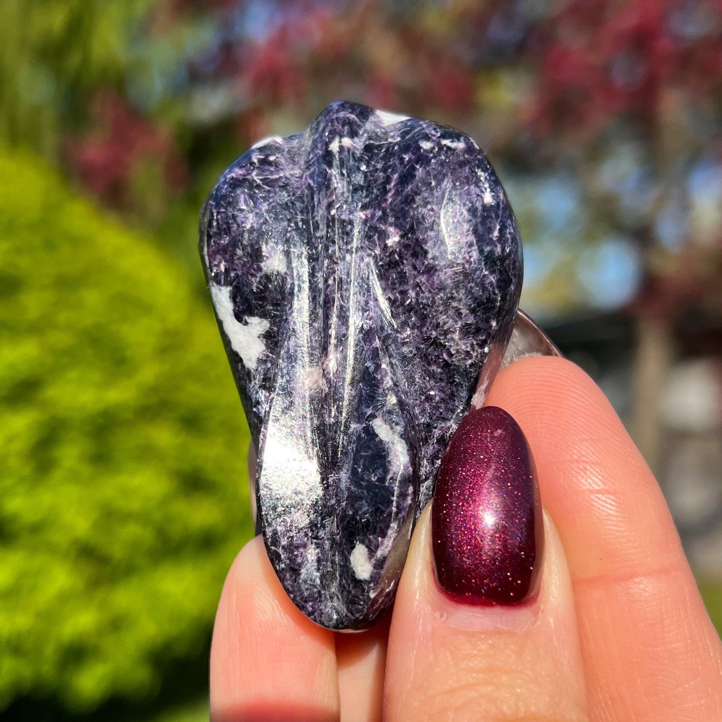 Storm Euphoralite Alien