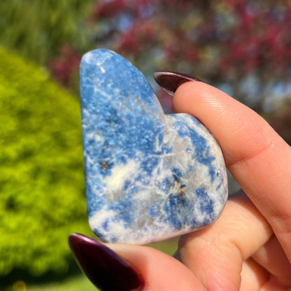 Enchanted Euphoralite Palm Stone