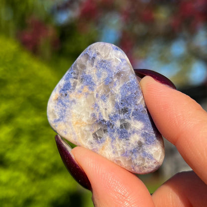 Enchanted Euphoralite Palm Stone