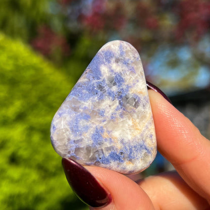 Enchanted Euphoralite Palm Stone