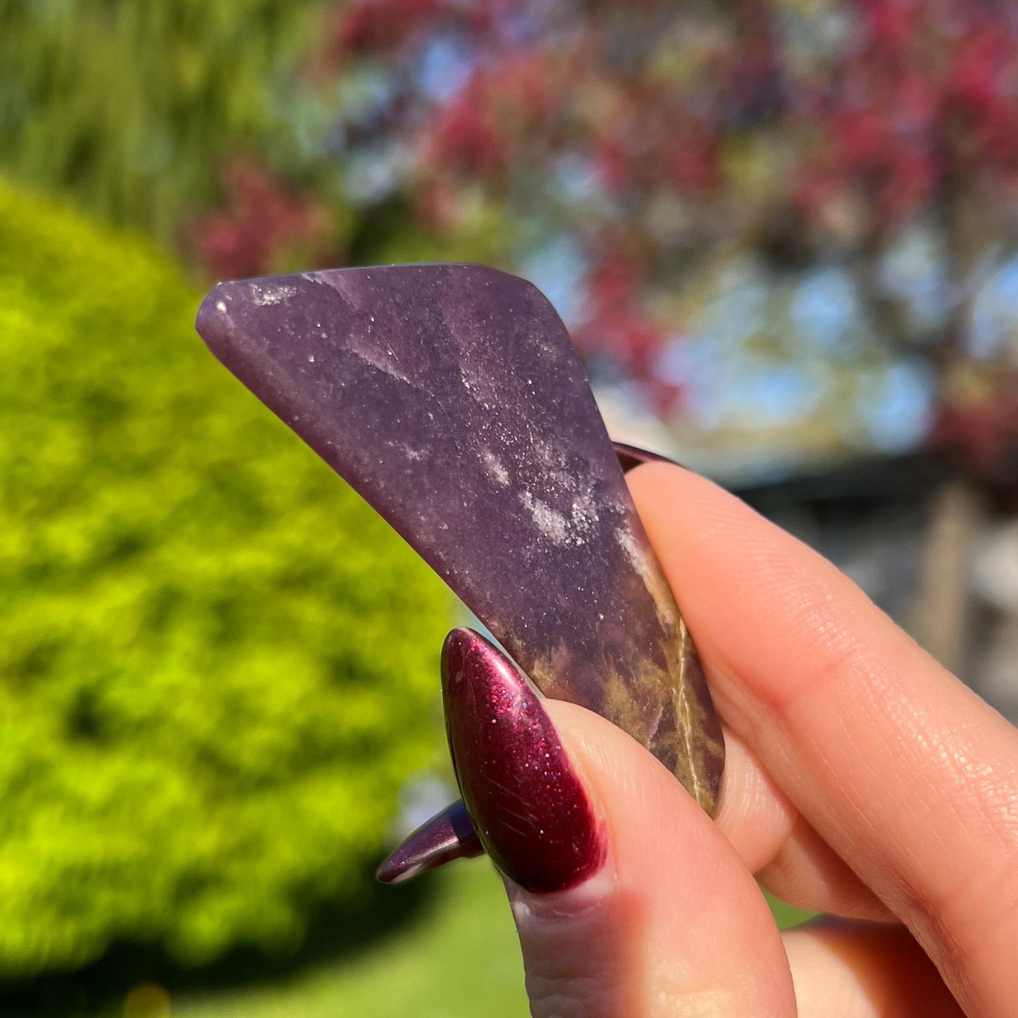 Midnight Euphoralite Palm Stone
