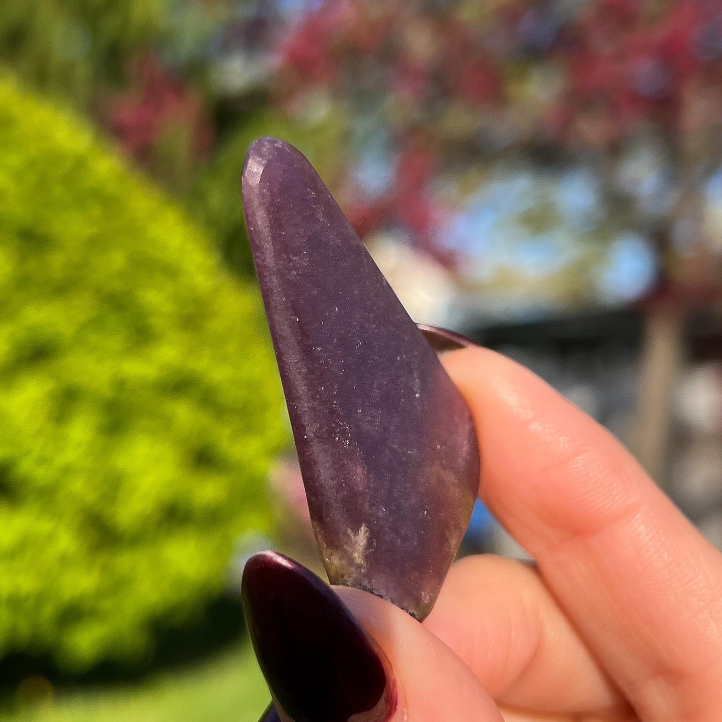 Midnight Euphoralite Palm Stone