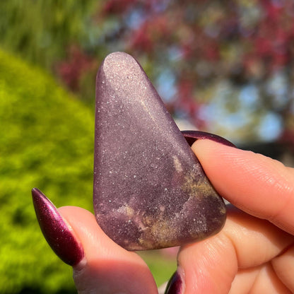Midnight Euphoralite Palm Stone
