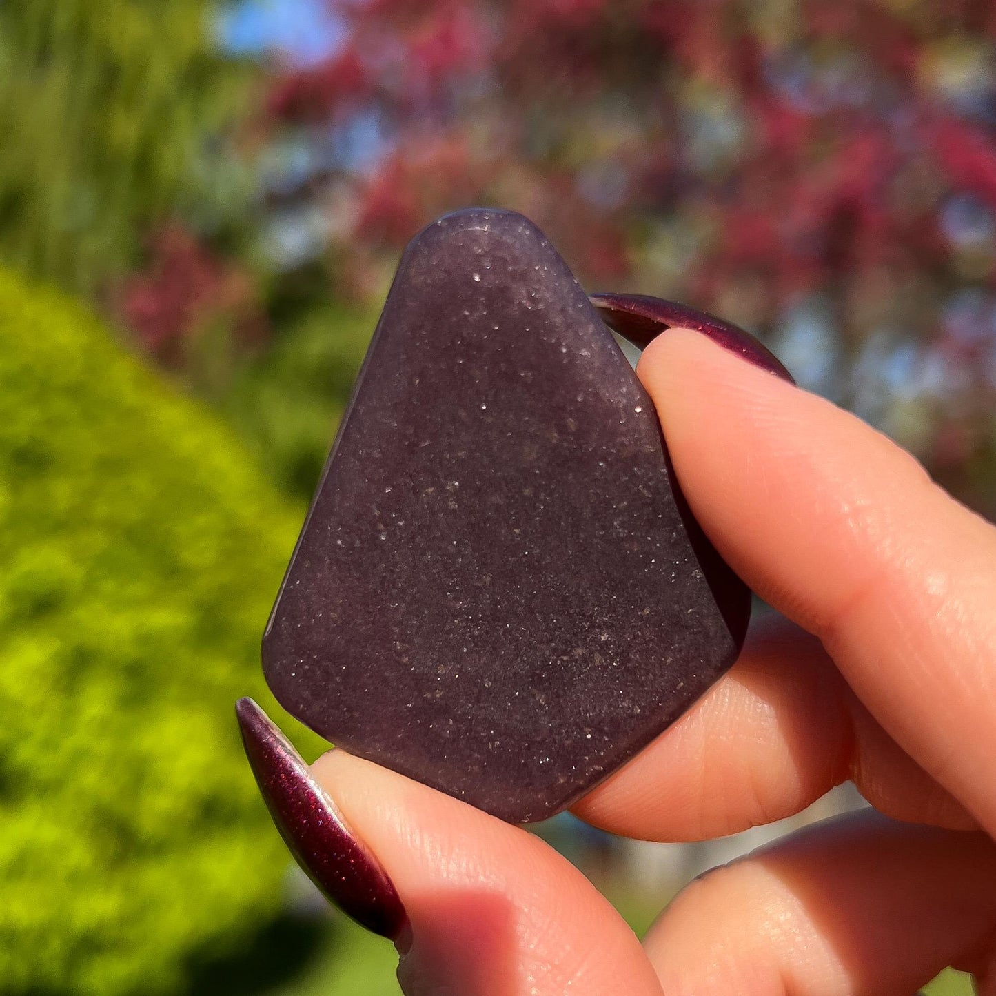 Midnight Euphoralite Palm Stone