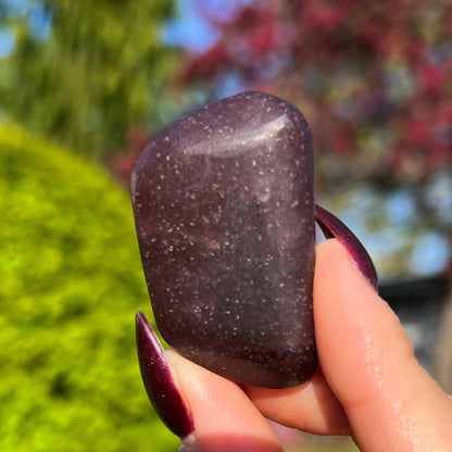 Midnight Euphoralite Palm Stone