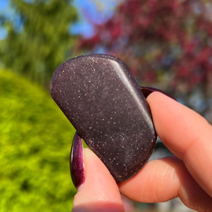 Midnight Euphoralite Palm Stone